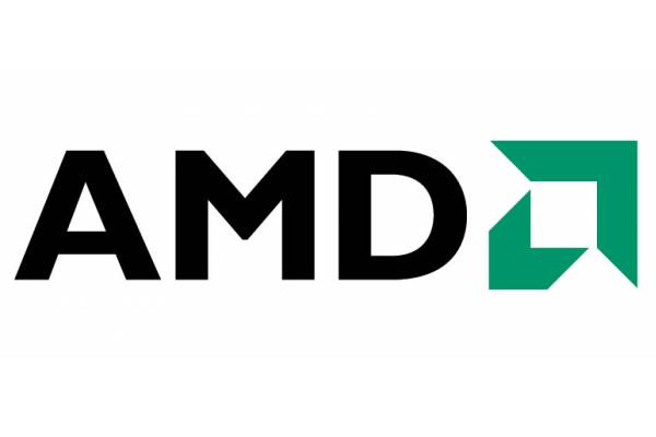 AMD raporları