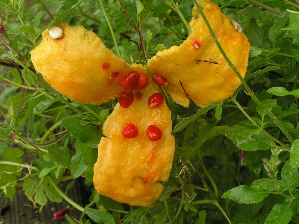 Kudret Narı